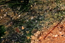 Gallery 6